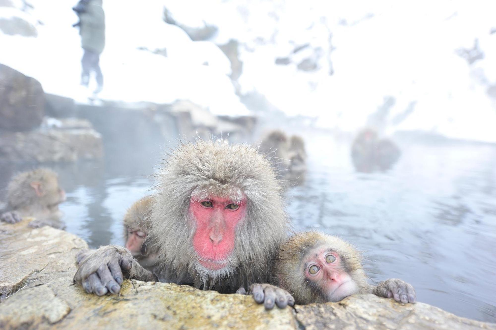 Shiga Ichii Hotel Yamanouchi  Zewnętrze zdjęcie